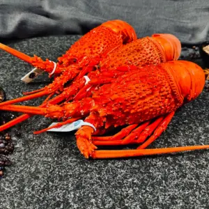Cooked Whole Easter Rock Lobster