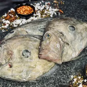 John Dory Whole