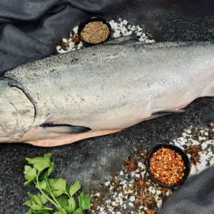 King Salmon