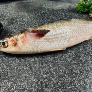 Mullet Whole