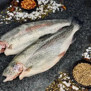 Rainbow Trout