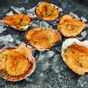 Scallop Cornucopia