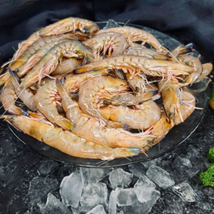 Green King Prawns – Medium