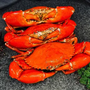 Cooked Mud Crabs